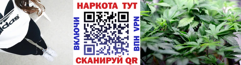 Купить закладку СОЛЬ  NBOMe  ГАШИШ  МАРИХУАНА  COCAIN  Меф мяу мяу  Новая Ладога