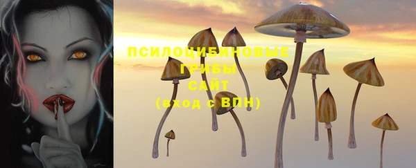 молекула духа Волосово