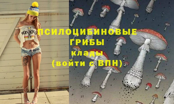 молекула духа Волосово